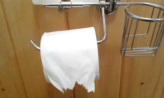 Toilettenpapier wird bald verschwinden. Quelle: Youtube Screenshot