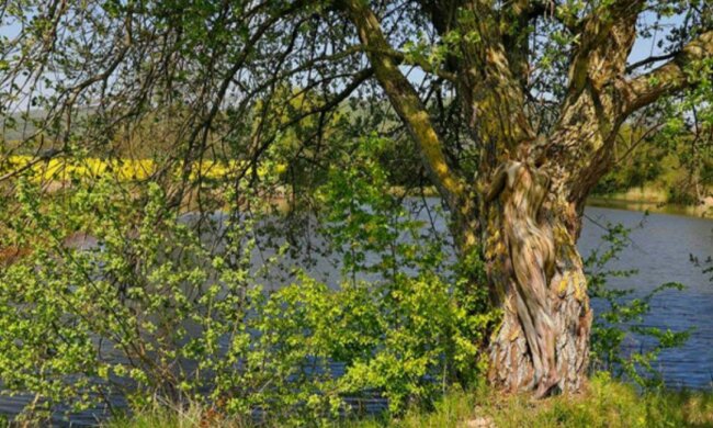 Body-Art-Künstler "versteckt" Modelle in verschiedenen Landschaften