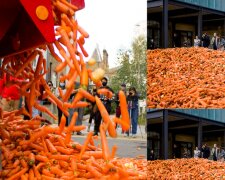 Der Kunst halber: Ein Student brachte 31 Tonnen Karotten in den Hof des Kollegs her