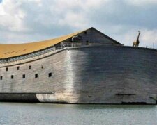 Der niederländische Schreiner hat eine maßstabsgetreue Nachbildung von Noahs Arche gebaut und möchte nun nach Israel schwimmen