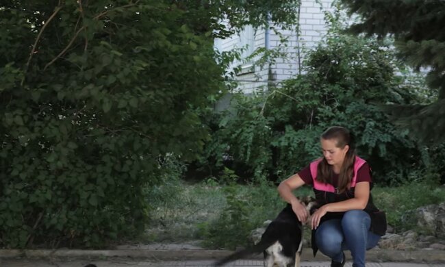 Hund bellte während des Spaziergangs und begann seine Besitzerin zu zerren: So rettete er ihr das Leben
