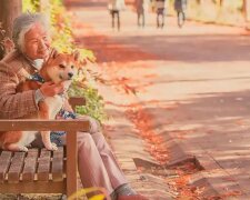 Der Fotograf aus Japan macht rührende Fotos von seiner Großmutter und seinem Hund