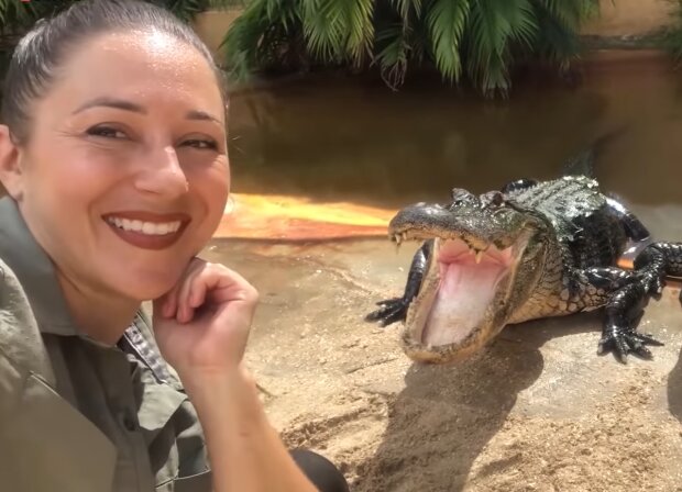 Eine furchtlose Tat: Eine Frau steckte ihren Kopf in den Rachen eines Krokodils