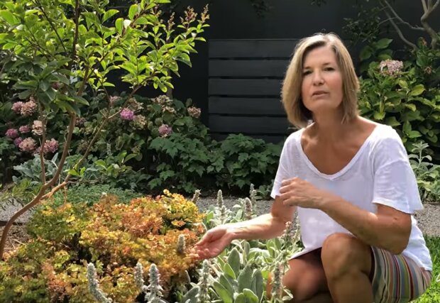 Die Eigentümerin wird ihren Garten schützen. Quelle: Screenshot YouTube