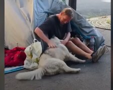 „Ein Zelt, ein Husky, kein Dach – und trotzdem nicht gebrochen. Quelle: Youtube