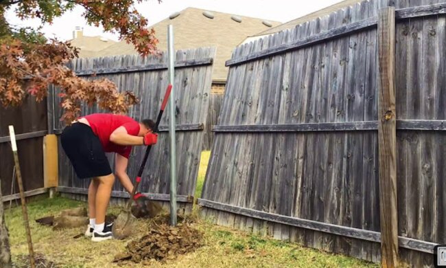 Die Familie ist es leid, ständig den Zaun zu reparieren. Quelle: Screenshot YouTube