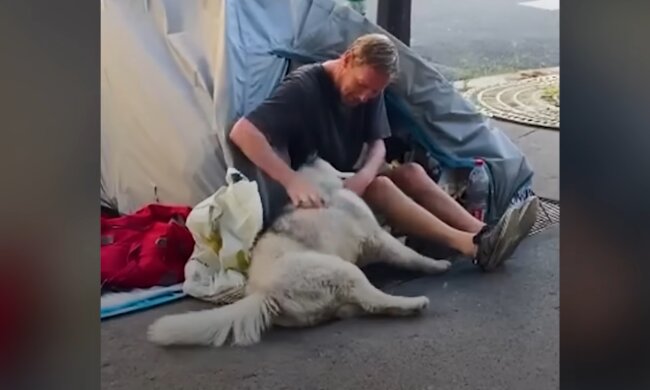 „Ein Zelt, ein Husky, kein Dach – und trotzdem nicht gebrochen. Quelle: Youtube