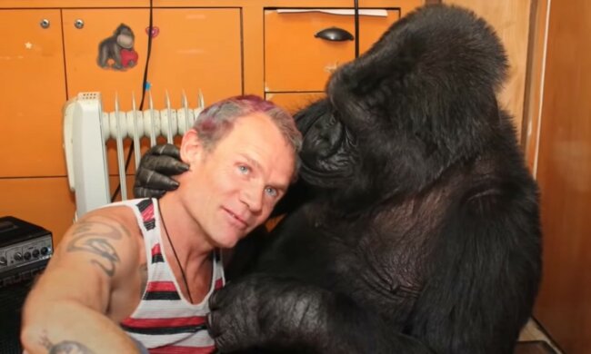 Klügstes Tier in der Geschichte. Quelle: Screenshot YouTube