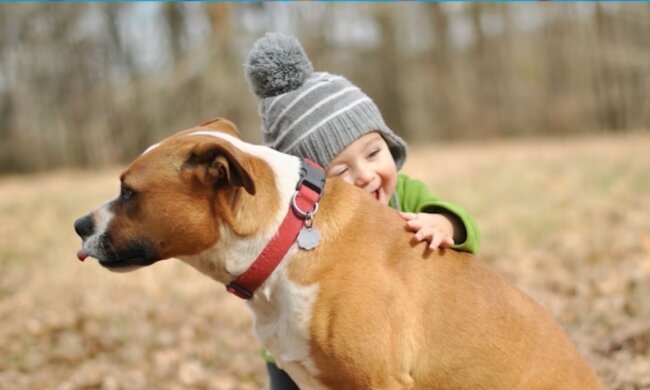 Hunde schützen oft Kinder