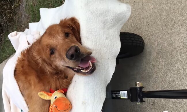 Maverick. Quelle: Youtube Screenshot