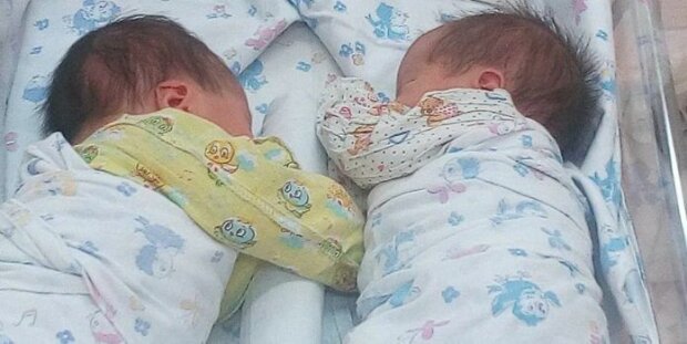 Biologische Eltern weigerten sich, Zwillinge von einer Leihmutter zu nehmen: Es wurde bekannt warum