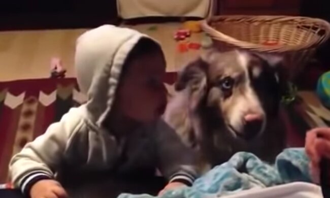 Baby Sam und Hund Patch. Quelle: Screenshot Youtube