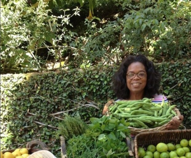 “Echte Sommerbewohner”: Weltstars, die es lieben, im Gemüsegarten zu arbeiten