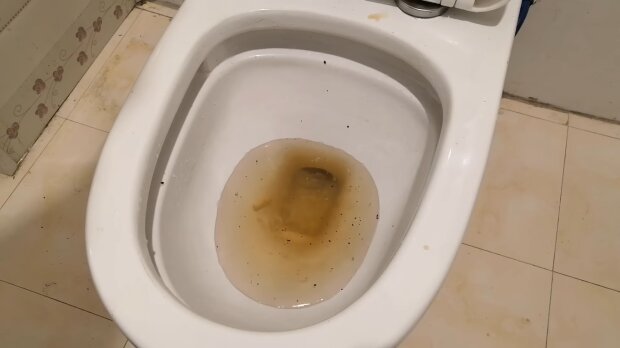 Ein Mann zahlt einem Klempner 500 Euro für die Reinigung seiner Toilette.