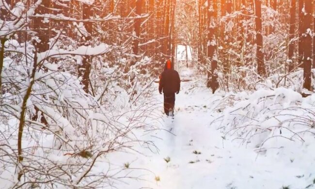Der Typ warf der Wölfin 7 Tage lang Fleisch zu, um sie aus der Falle zu befreien