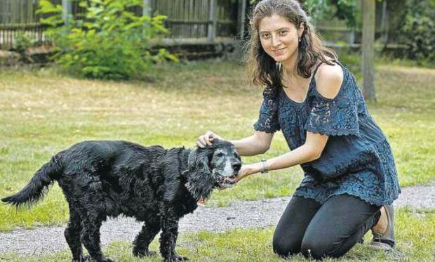 Wie Frau ihren Hund fand, den sie vor 10 Jahren verlor. Uberalles