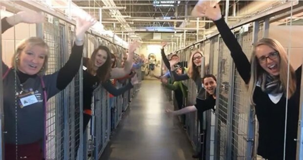 Das Tierheim feiert seinen glücklichsten Tag, weil alle Käfige leer sind