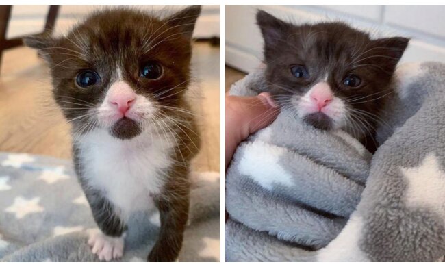 Theodor. Quelle: Screenshot