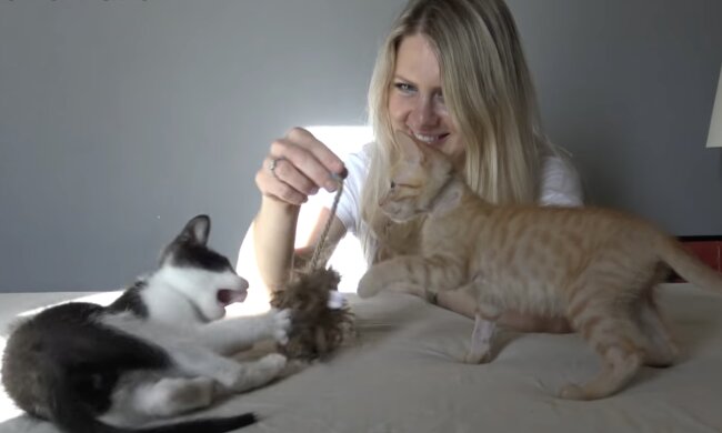 Neues liebevolles Zuhause. Quelle: Screenshot YouTube