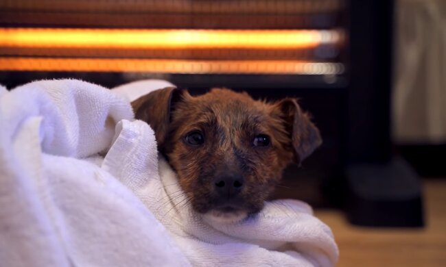 Illustratives Bild. Quelle: Youtube Screenshot