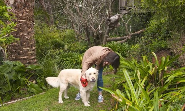 Riesige Freude. Quelle: Youtube Screenshot