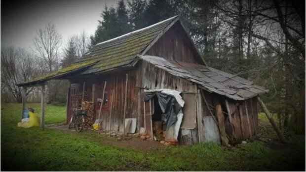 Die alte Frau lebte allein im Wald in einer zusammengebrochenen Hütte, aber die Leute machten ein luxuriöses Häuschen für sie