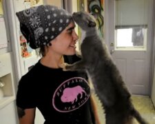 Dankbare Katze. Quelle: Youtube Screenshot