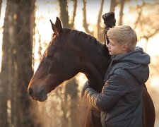 Das Freundschaft zwischen das Pferd und der Junde. Quelle: Screenshot YouTube