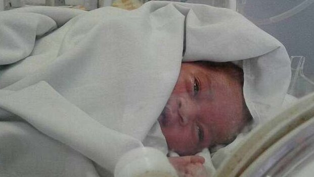 Der Hund fand das Baby in einem mit Ameisen bedeckten Abwasserkanal: Aber keines der Insekten hat es gebissen