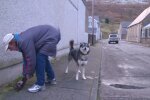 Beschwerden über älteren Mann wegen Hundekot. Quelle: Youtube Screenshot