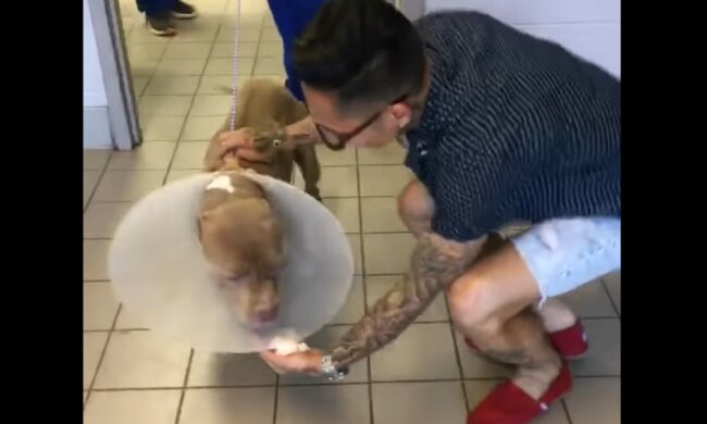 Dara und sein Hund. Quelle: Screenshot Youtube