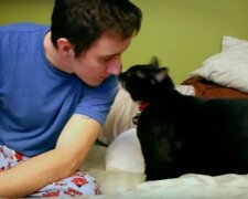 Geschwänzter Verteidiger: eine obdachlose Katze eilte zu dem Mann und rettete ihn