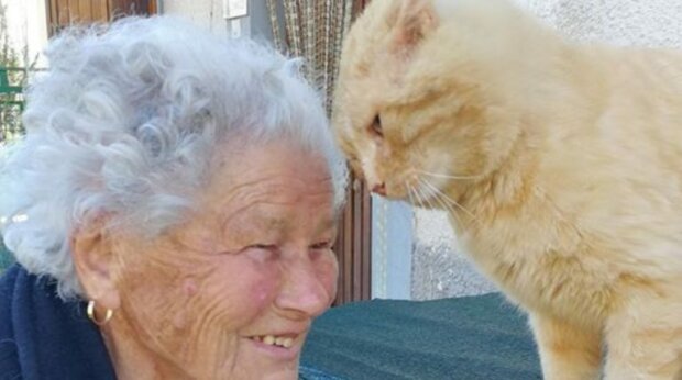 Oma verlor ihre Katze während des Erdbebens, aber 4 Jahre später trafen sie sich