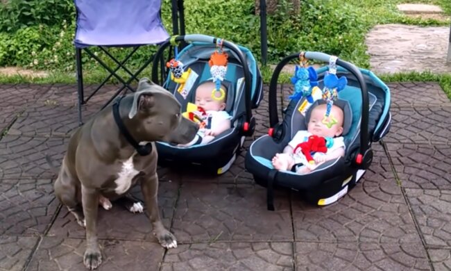 Umgeben von Fürsorge. Quelle: Screenshot YouTube