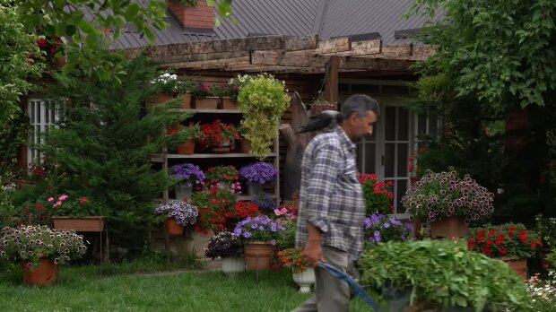 „Meine Nachbarin beneidet mich um meinen prächtigen Garten, aber was sie nicht sieht, ist die Mühe und Hingabe, die darin steckt“