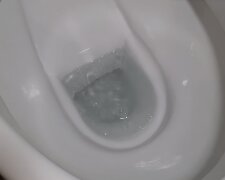 Toilette. Quelle: Screenshot YouTube