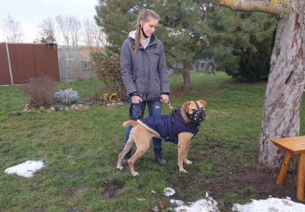 Hund wartete zwei Jahre im Leipziger Tierheim auf ein neues Zuhause: Jetzt wird er bei seiner "Adoptiv"-Mutter leben