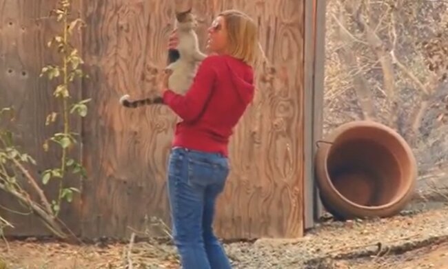 Ein wundervolles Treffen. Quelle: Youtube Screenshot