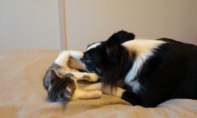 Der beste Babysitter. Quelle: Youtube Screenshot