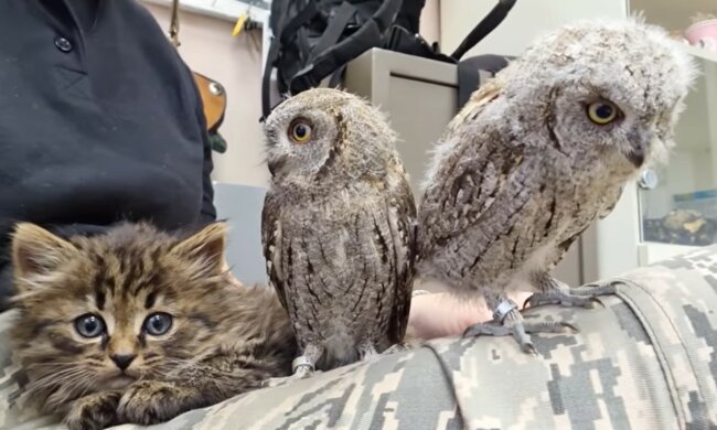 Erziehung in Sicherheit und Liebe. Quelle: Screenshot YouTube