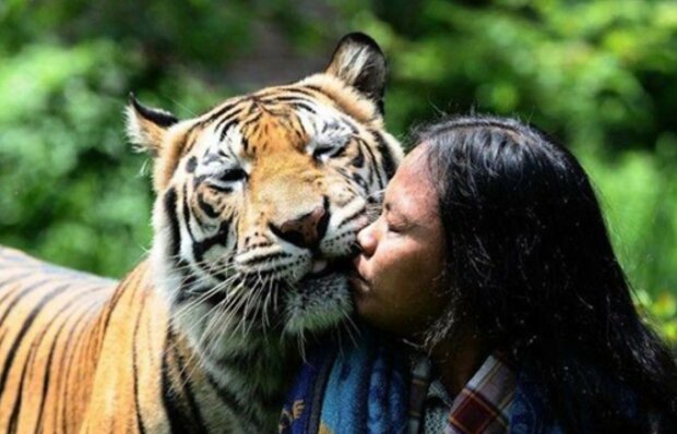 Ungewöhnliche Freundschaft: Ein Mann aus Indonesien ist mit einer Tigerin befreundet
