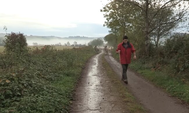 Landwirtschaft in Deutschland. Quelle: Youtube Screenshot