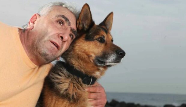 Der deutsche Schäferhund wurde gestohlen, aber er überwand 600 Kilometer und fand nach drei Jahren Trennung seinen Besitzer
