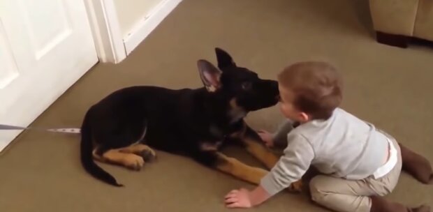 Baby mit dem Hund. Quelle: Youtube Screenshot