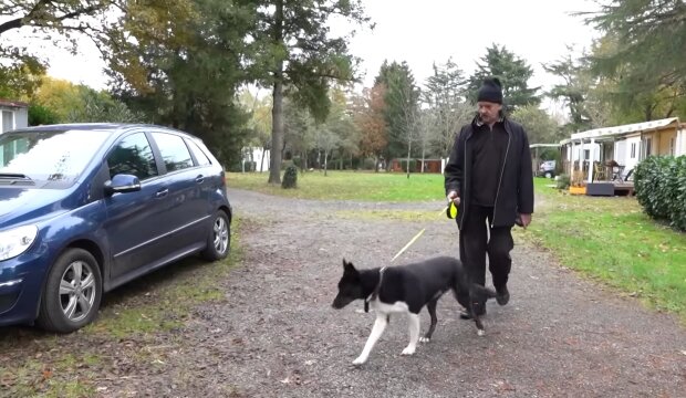 „Hundekot vor der Haustür“: Nachbarn erstatten Anzeige gegen rücksichtslose Hundebesitzer