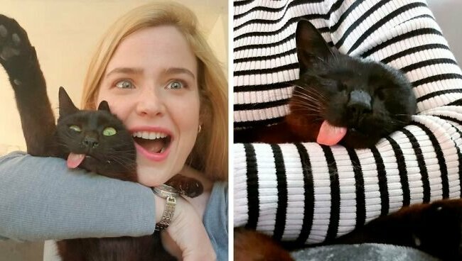 Pelzige Liebe: Wie die gerettete Katze mit heraushängender Zunge eine Familie fand