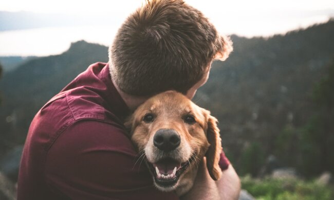 "Das Schicksal hat ihn mir geschickt": Ein Veteran, der nicht sehen kann, nahm einen ausgesetzten Hund auf