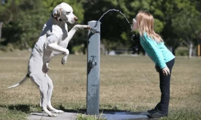 Die Freundschaft von Kindern und Hunden ist die treueste