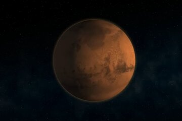 Außerirdisches Leben "zu 100 Prozent bestätigt": Rosa und grüne "Pflanze" auf dem Mars gefunden