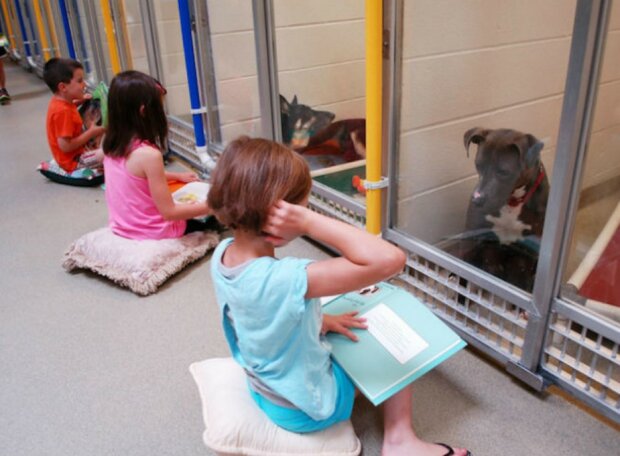 Kinder lesen im Tierheim laut vor, um eingeschüchterten und scheuen Hunden bei der Adaptation zu helfen